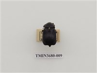 藏品(埋葬蟲)的圖片